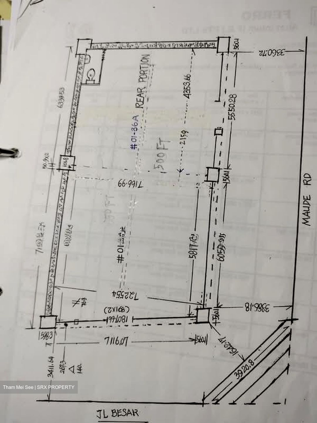 Jalan Besar Plaza (D8), Shop House #564003381